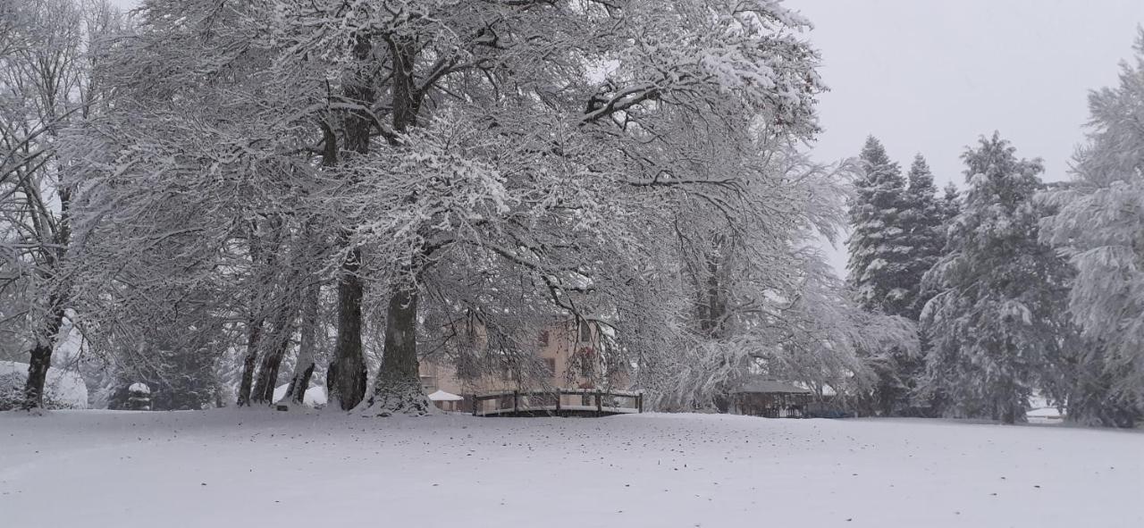 Domaine De Marchal - Chambres Et Table D'Hotes Celles-Sur-Durolle Exterior foto